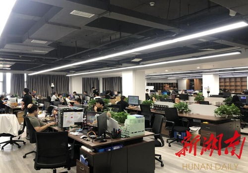 衡陽崛起數(shù)字經(jīng)濟(jì)新高地 物聯(lián)網(wǎng)應(yīng)用服務(wù)驅(qū)動城市轉(zhuǎn)型