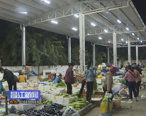 昌江筑牢食用農產品安全防線 強化批發市場監管與畜牧漁業飼料銷售規范